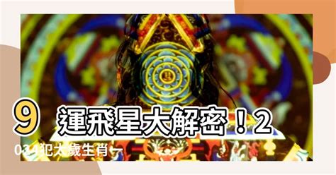 9運飛星|【九運飛星盤】九運飛星飛星全解析：免費下載九運玄。